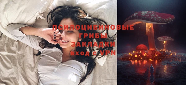 сатива Алексин